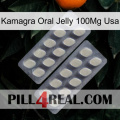 Kamagra Oral Jelly 100Mg Usa 07